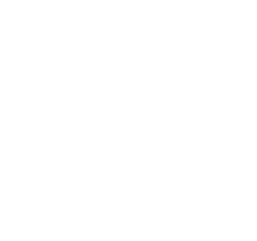 petidesignstudio.com