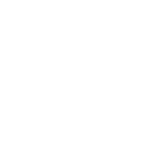 petidesignstudio.com